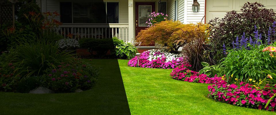 Templeton Landscapers